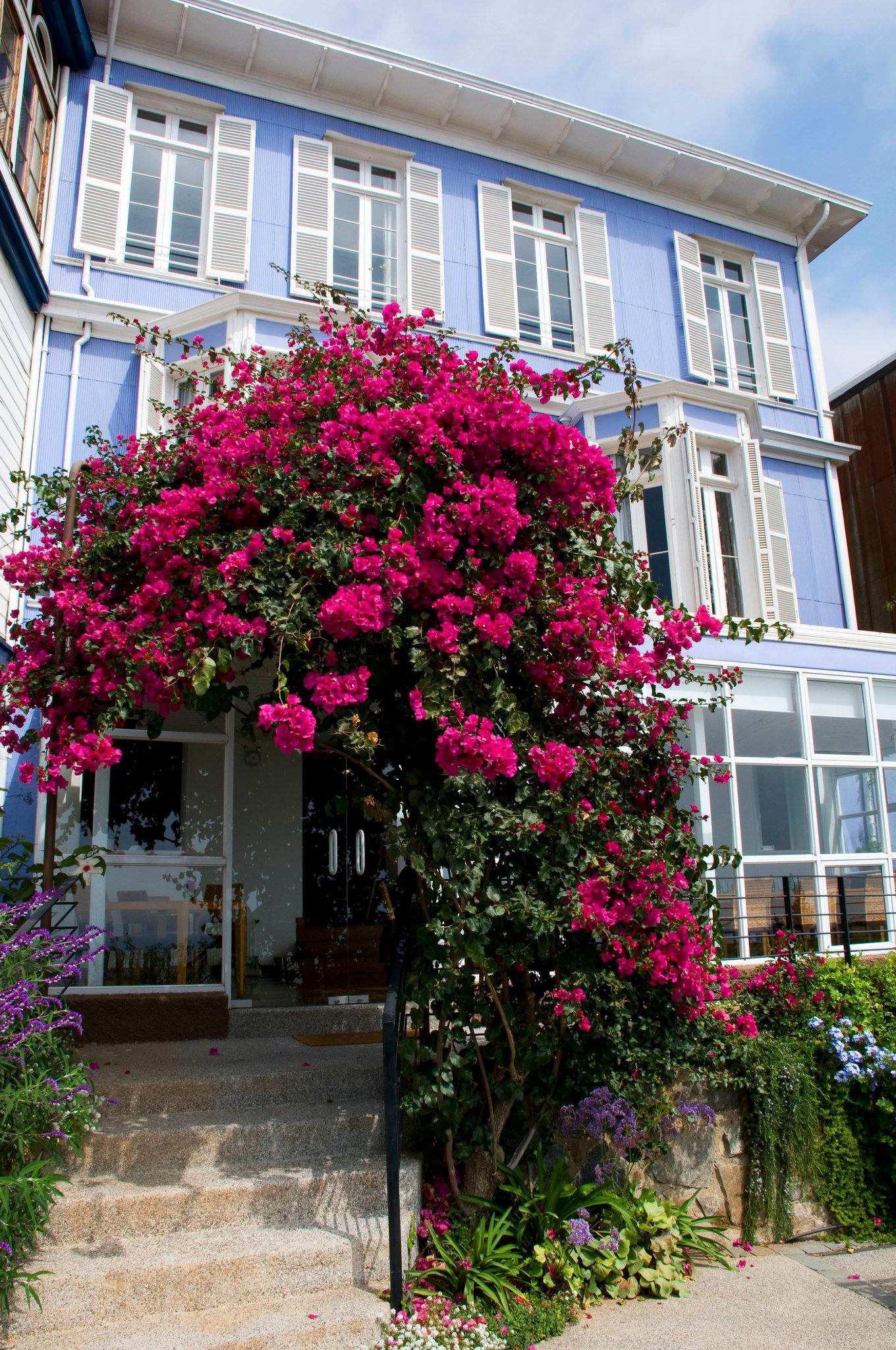 Zerohotel Valparaiso Luaran gambar